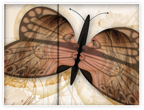 Grafik-Design :: Le Papillon